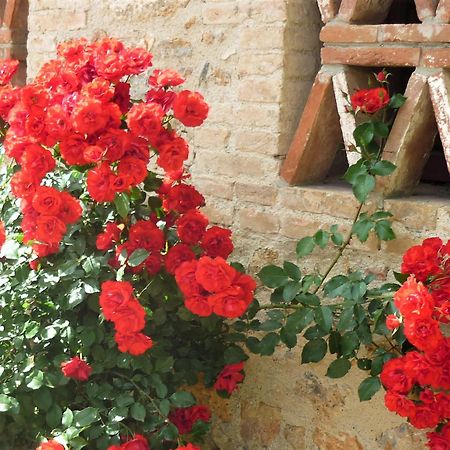 Fattoria Agriturismo Nerbona Villa Casole dʼElsa Dış mekan fotoğraf