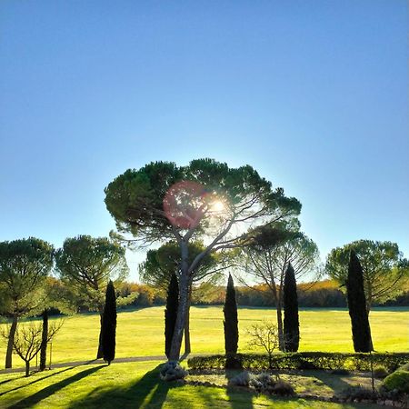 Fattoria Agriturismo Nerbona Casole dʼElsa Dış mekan fotoğraf