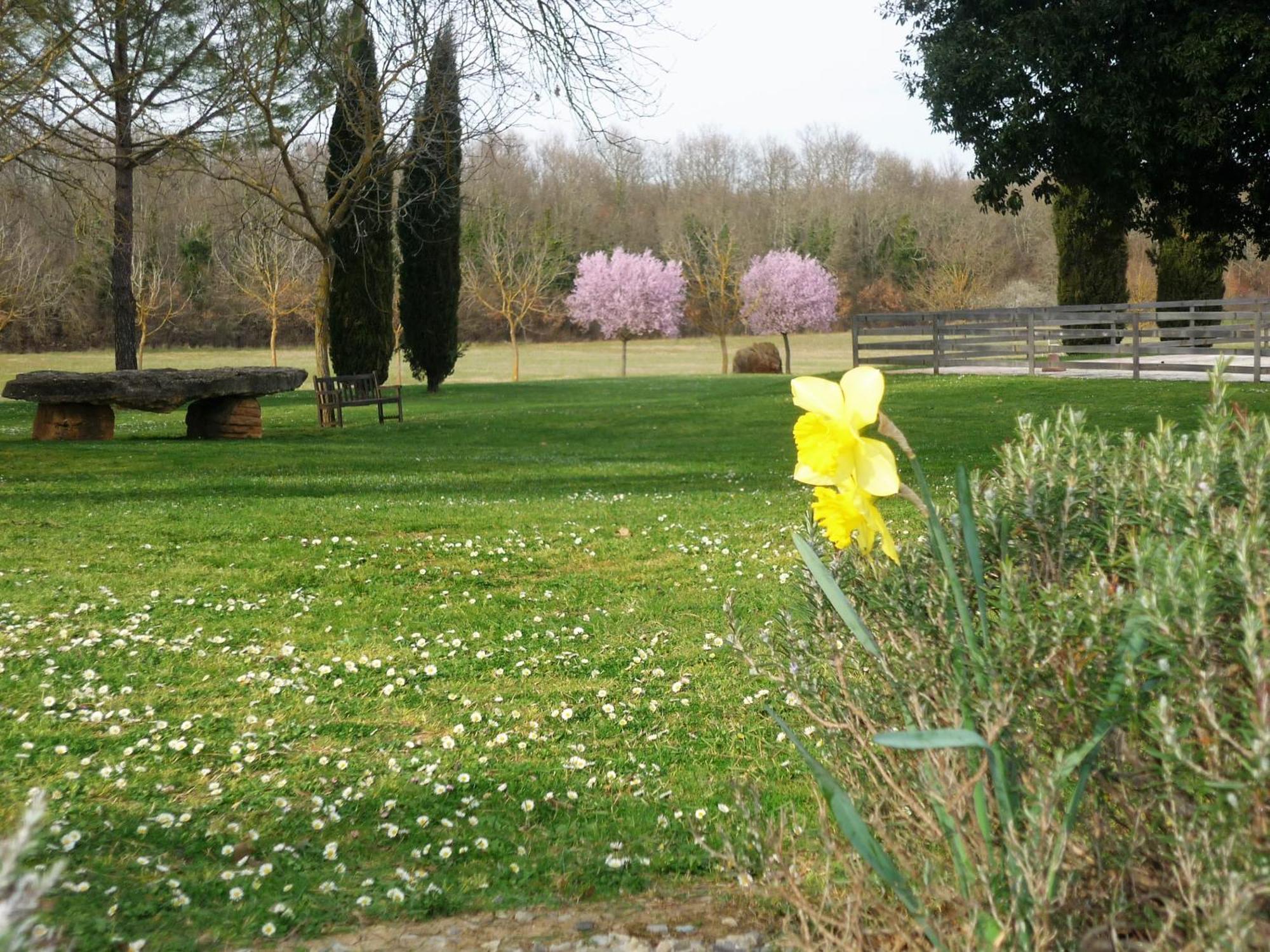 Fattoria Agriturismo Nerbona Villa Casole dʼElsa Dış mekan fotoğraf