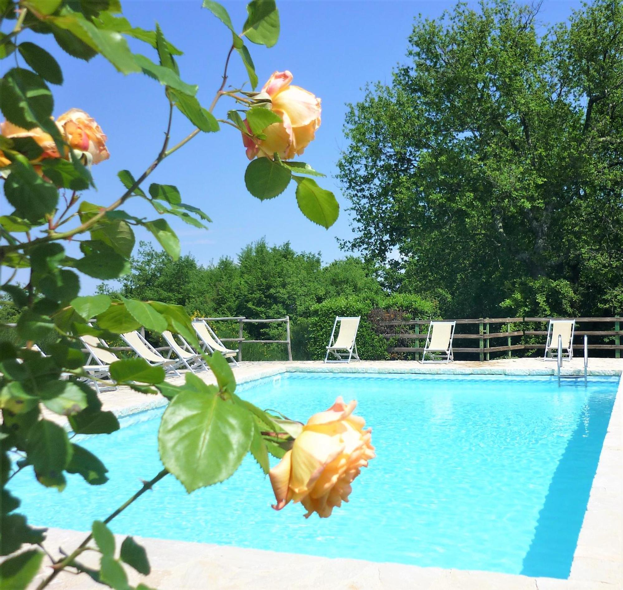 Fattoria Agriturismo Nerbona Villa Casole dʼElsa Dış mekan fotoğraf