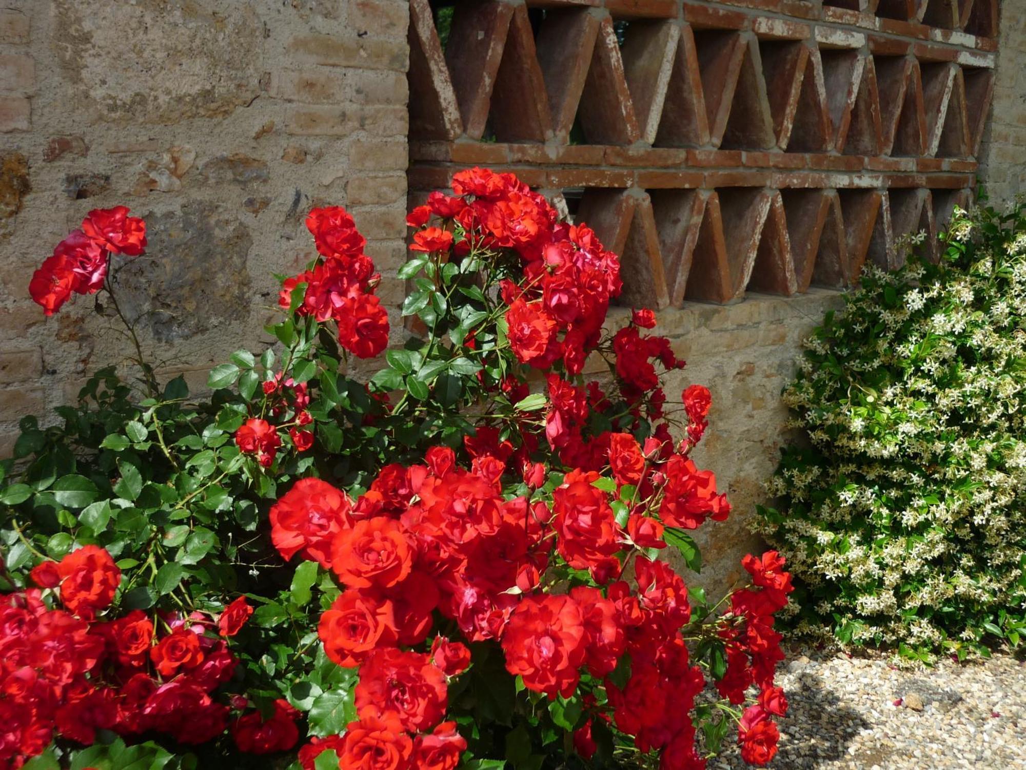 Fattoria Agriturismo Nerbona Villa Casole dʼElsa Dış mekan fotoğraf