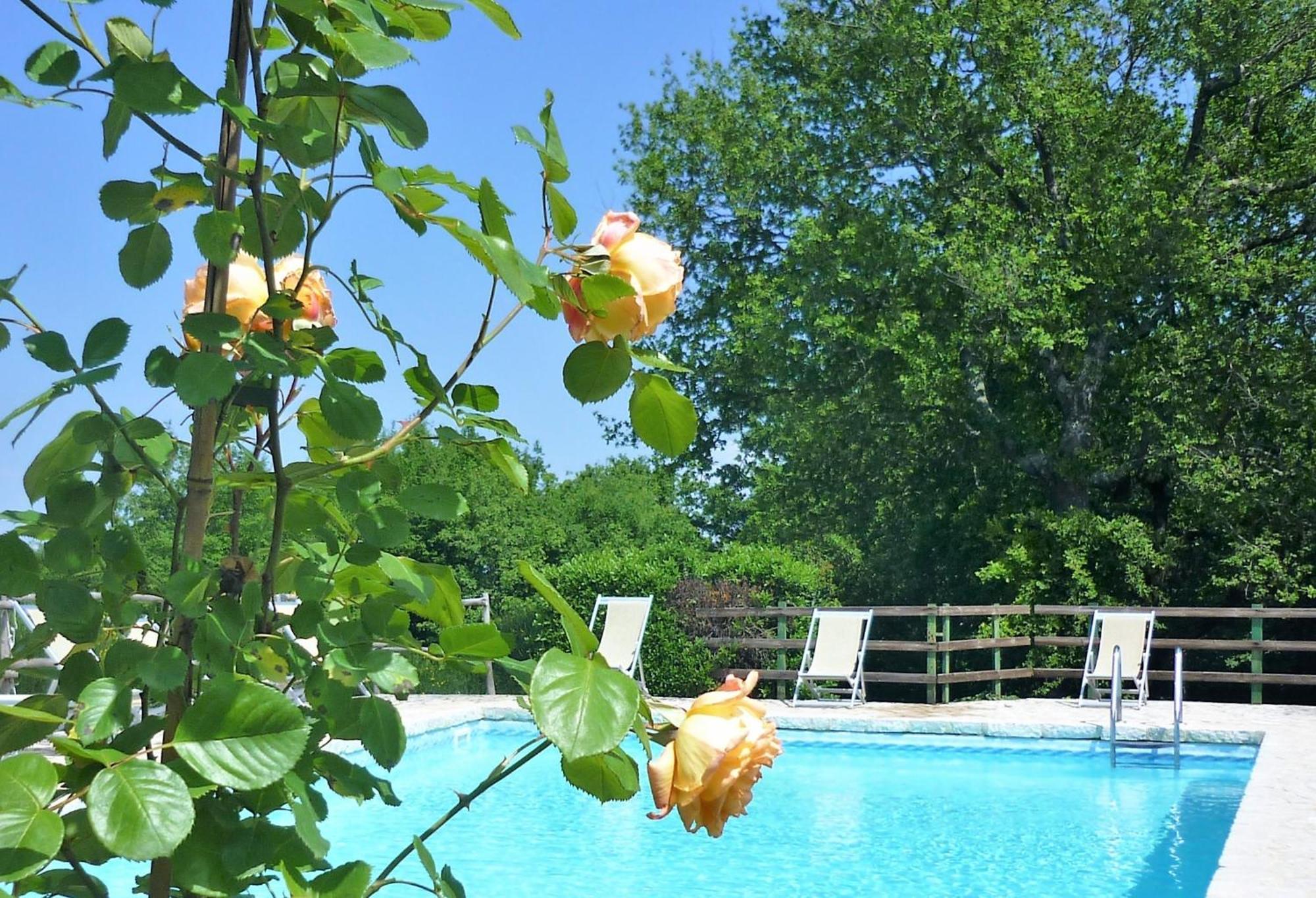 Fattoria Agriturismo Nerbona Casole dʼElsa Dış mekan fotoğraf
