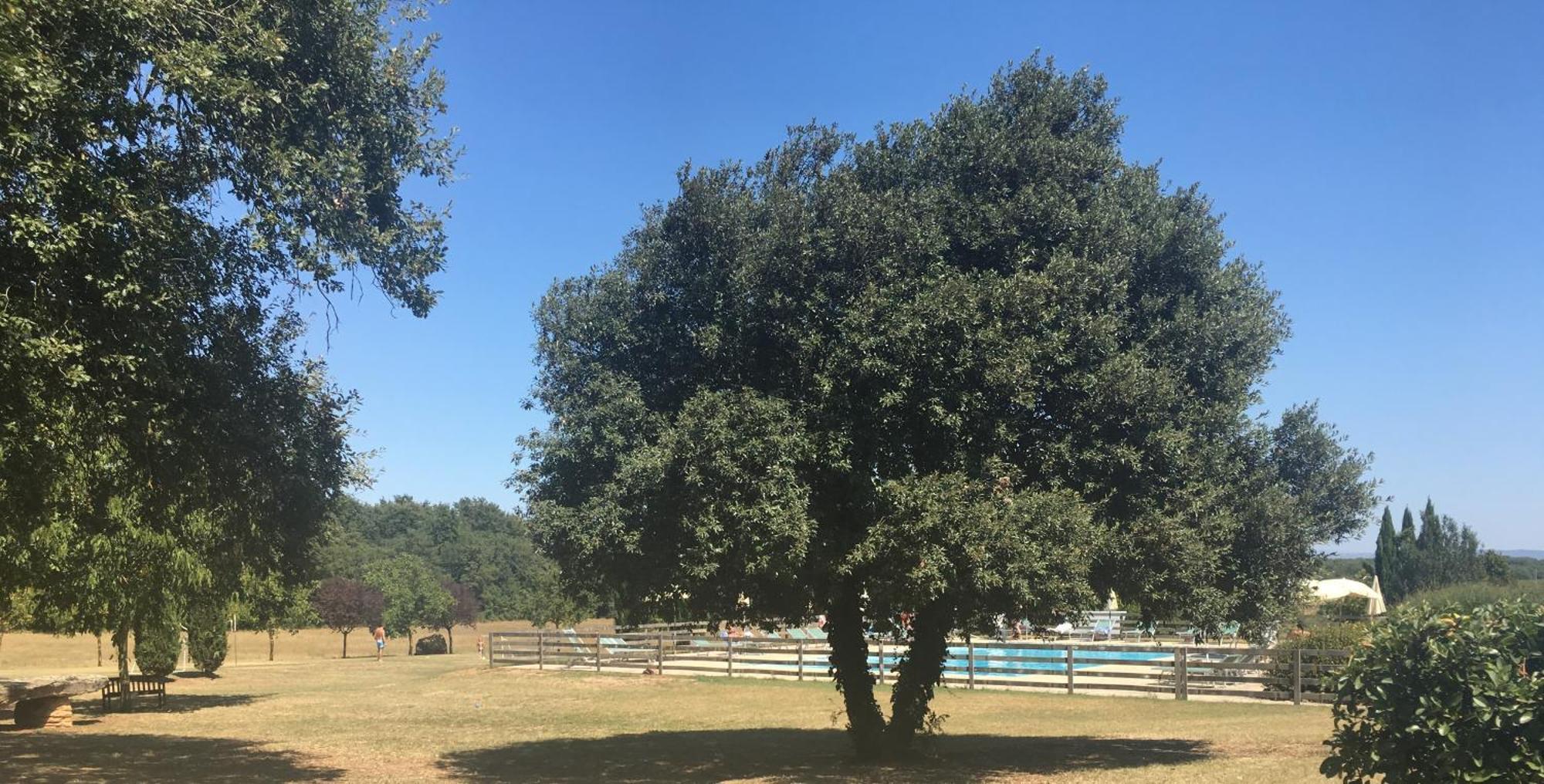 Fattoria Agriturismo Nerbona Villa Casole dʼElsa Dış mekan fotoğraf