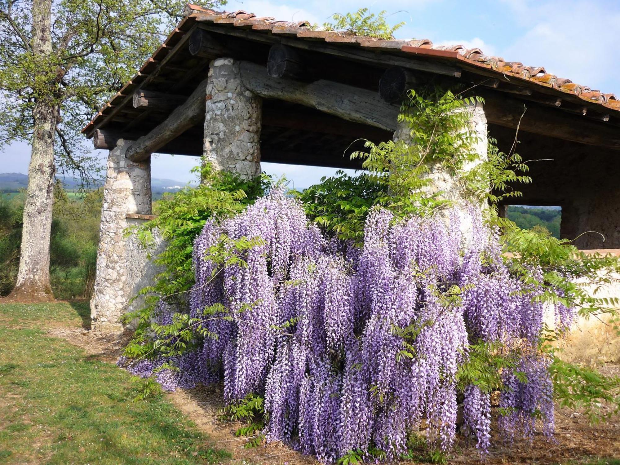 Fattoria Agriturismo Nerbona Villa Casole dʼElsa Dış mekan fotoğraf