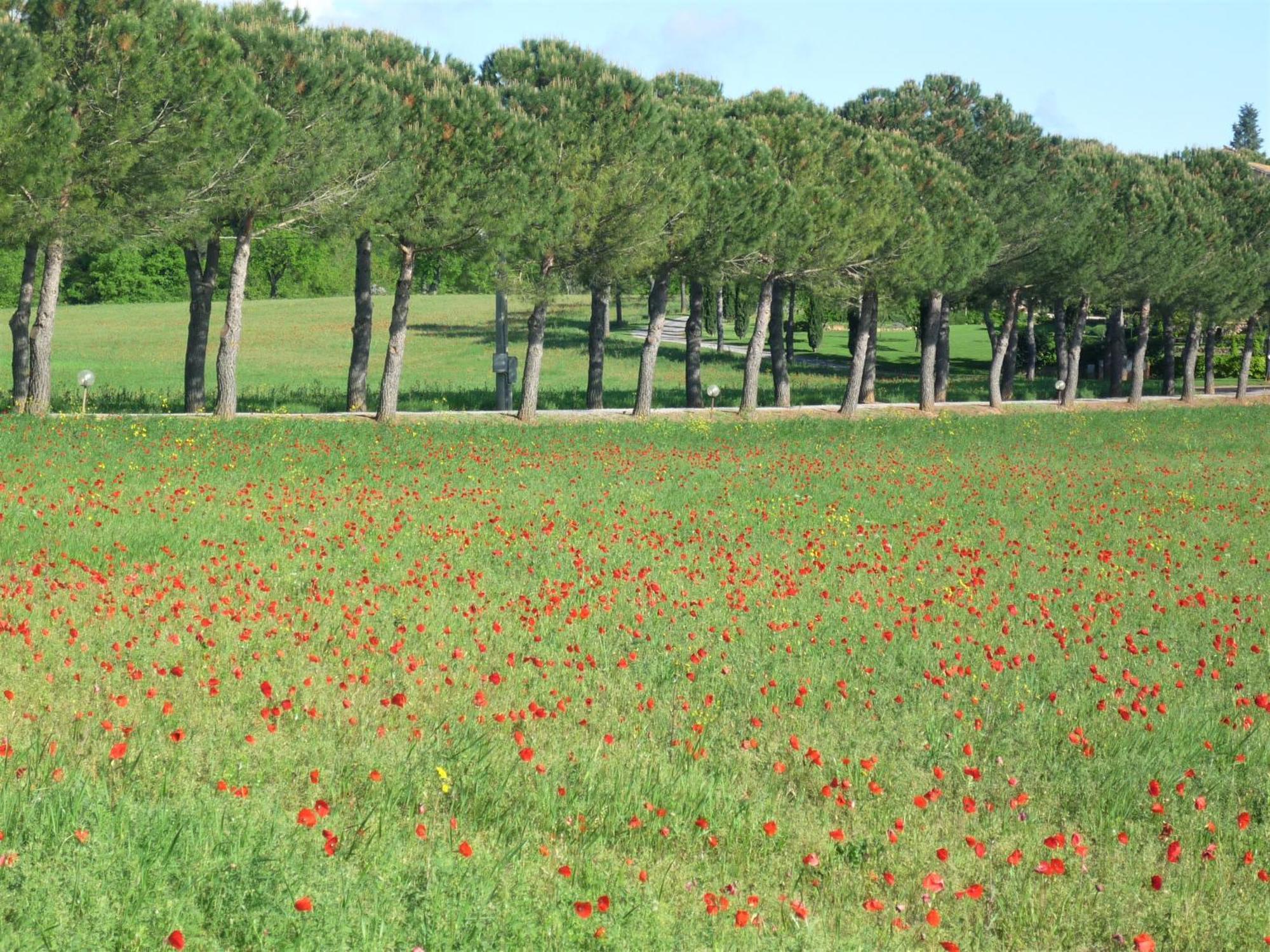 Fattoria Agriturismo Nerbona Casole dʼElsa Dış mekan fotoğraf