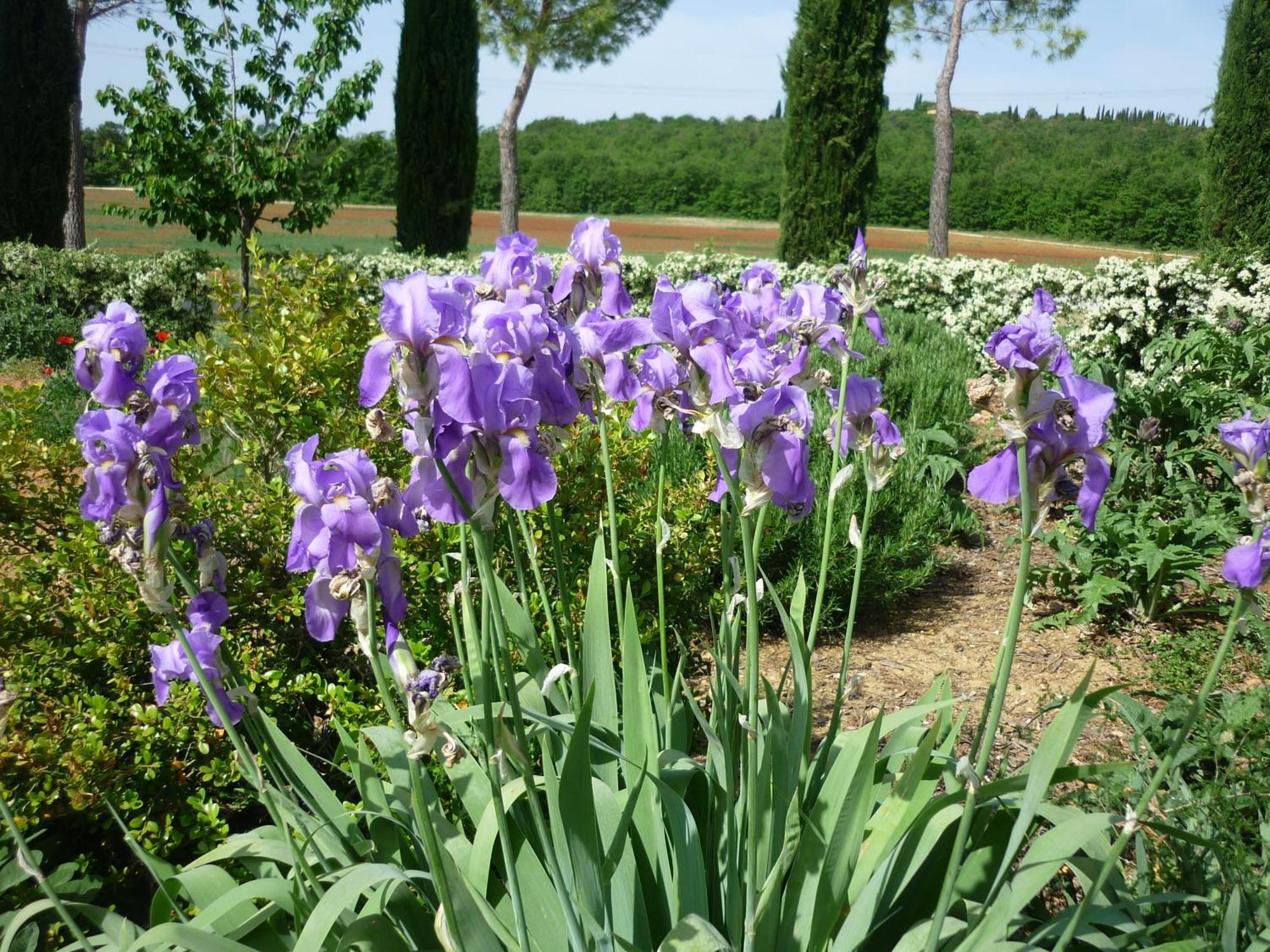 Fattoria Agriturismo Nerbona Villa Casole dʼElsa Dış mekan fotoğraf